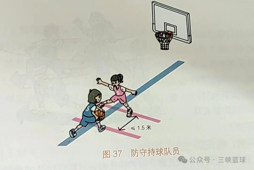 常识篮球规则基本有哪些_篮球基本规则和常识有哪些_常识篮球规则基本有几种