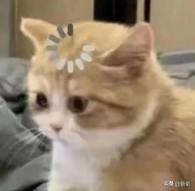 世界第一美女跳高冠军_女子跳高世界纪录视频_女子跳高世界冠军