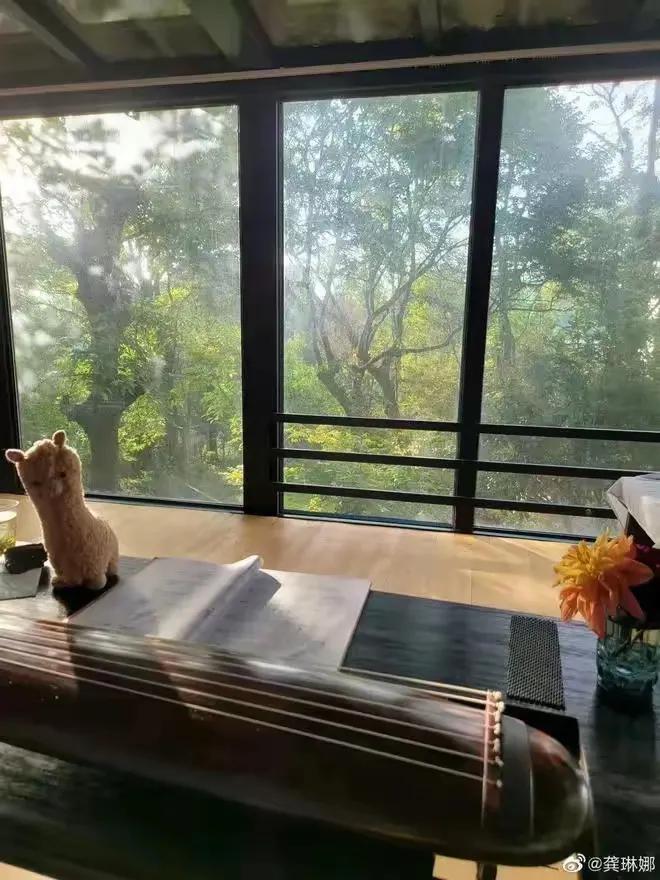 离婚后独自生活_离婚后独特的生活方式_离婚独立生活指多大