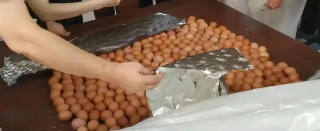 篮球比赛规则小学生_篮球小学生联赛_姚基金小学生篮球赛规则