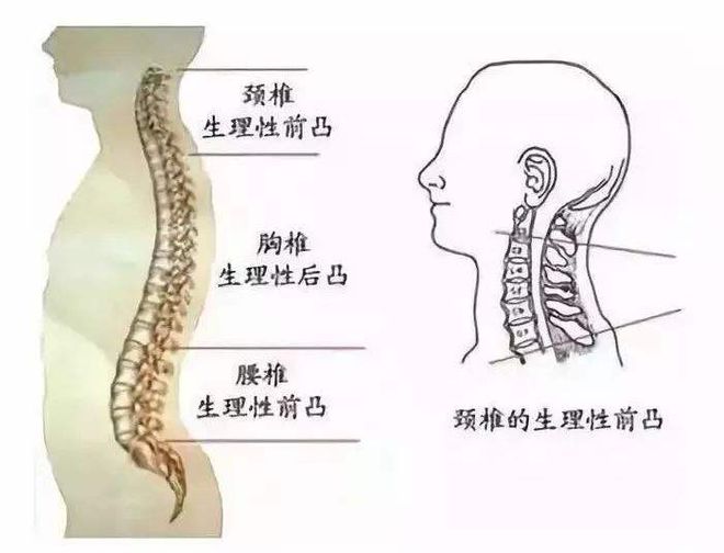 运动康复的意义_康复运动的重要性_康复运动的目的