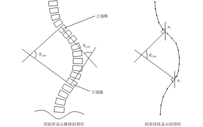 康复运动的重要性_运动康复的意义_康复运动的目的
